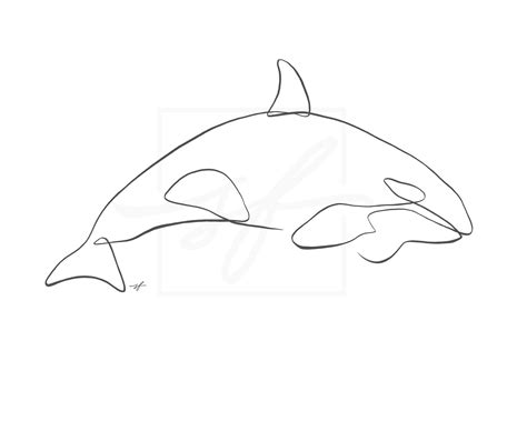 Minimalist Orca Whale One Line Drawing Etsy