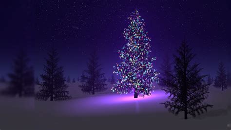 Christmas Tree At Night 1920x1080 Wallpaper