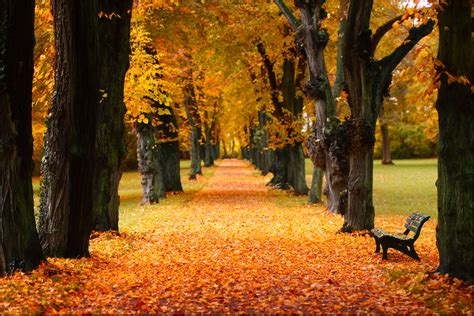 Herbstfarben Foto & Bild | landschaft, park, bäume Bilder auf fotocommunity