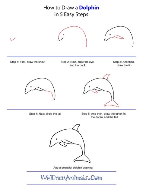 It's important to get a good grasp of the tools, because animals come in many different shapes and sizes, and the techniques to draw them are just as varied. How To Draw Easy Animals Step By Step Image Guide