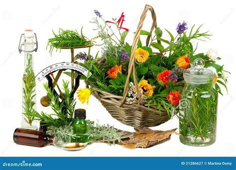 Herbs For Medicine Stock Image Image Of Preserve Healthy 21386627