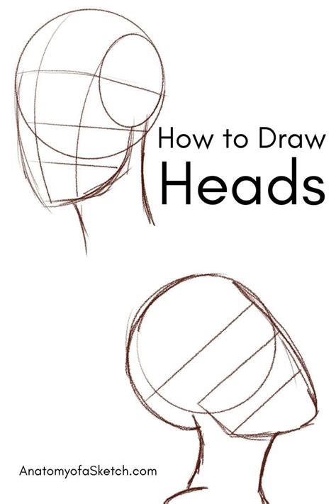 How To Draw A Head How To Draw Heads Drawing Tips For Beginners