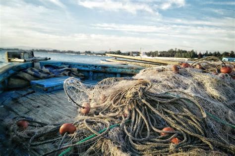 3 Solutions To Common Fishing Net Problems MichNews