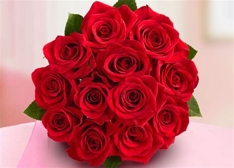 What Do Flower Colors Mean Red Rose Bouquet Dozen Red Roses Rose