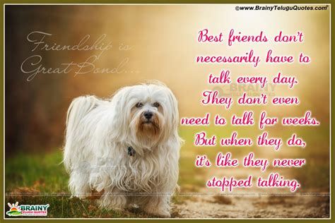 In a great degree, love and friendship cannot subsist in. Best English Loyal Friendship Quotes &Nice Sayings Pictures | BrainyTeluguQuotes.comTelugu ...
