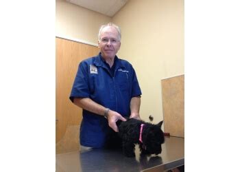 12006 main street west, north dundas, ontario, canada. 3 Best Veterinary Clinics in Roseville, CA - Expert ...