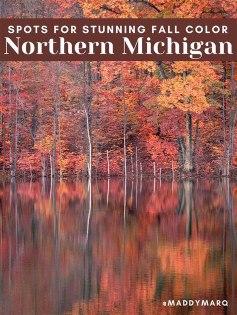 Best Places For Fall Color In Northern Michigan Northern Michigan