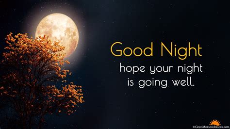 Good Night Full Hd Wallpaper Beautiful Gn Images In