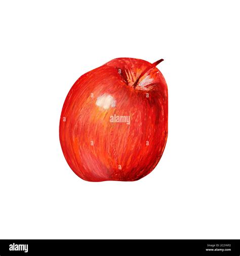 One Red Apple Isolated On A White Background Whole Juicy Ripe Glossy