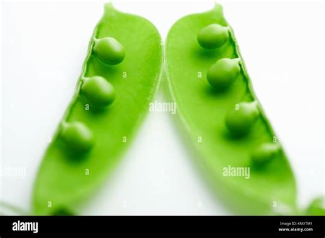 Of A Pea Pod Hi Res Stock Photography And Images Alamy
