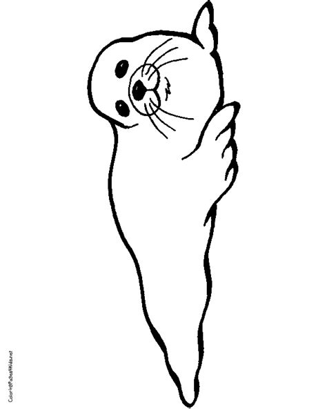 You will definitely find a picture for yourself. Harp Seal Coloring Page at GetColorings.com | Free ...