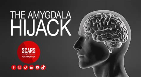 The Amygdala Hijack And Scam Victims Infographic Expanded 2024