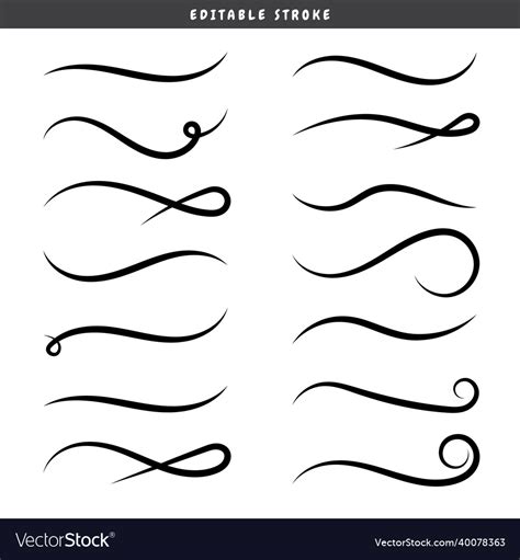 Set Of Swirling Lines And Calligraphic Elements Vector Image