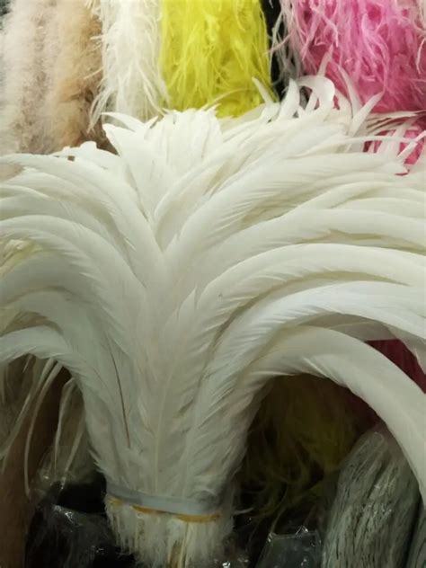 wholesale sale beatifl 50pcs high quality scare natural pure white rooster tail feathers 12