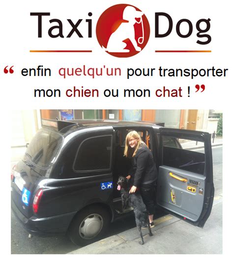 Taxi Dog Taxi Canin Taxi Animalier Taxi Pour Chien Paris