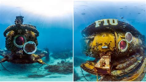 Aquarius Reef Base Has A Stunning Virtual Dive Tour Narcity