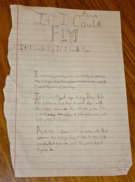 3rd Grade If I Could Fly By Roan