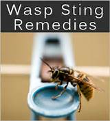 Pictures of What To Treat Wasp Stings With