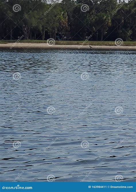 Gulf of Mexico Fort DeSoto stock image. Image of gulf - 163984411