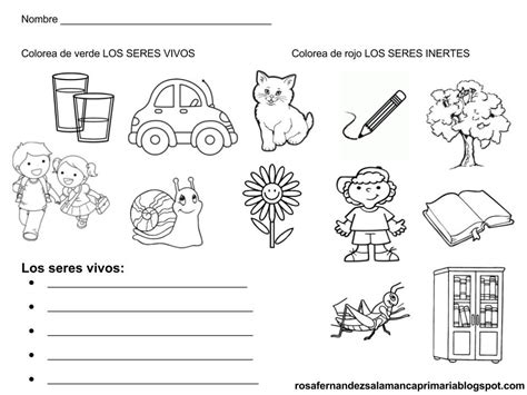 Seres Vivos Y No Para Ninos Sketch Coloring Page