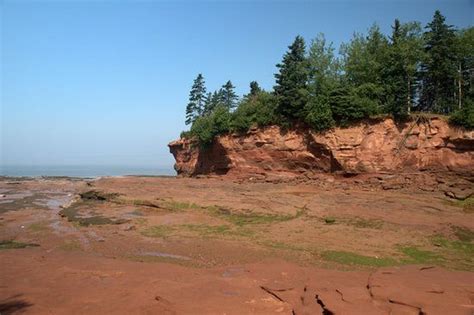 Check out our truro ns selection for the very best in unique or custom, handmade pieces from our shops. Burntcoat Head Park, Noel: See 101 reviews, articles, and ...