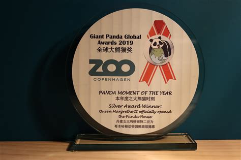 Giant Panda Global Awards 2019 The Winners
