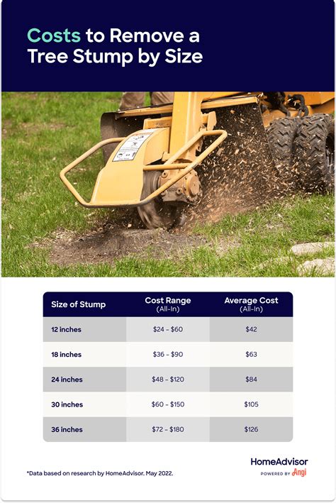 How Much Does Stump Grinding Cost