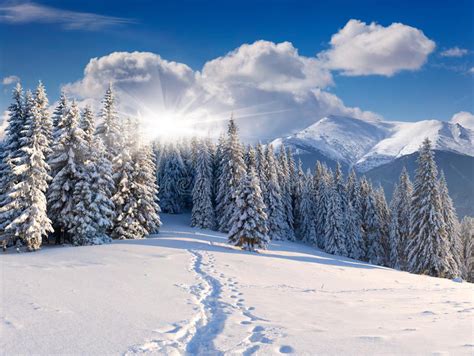 Beautiful Winter Landscape In Mountains Stock Photo