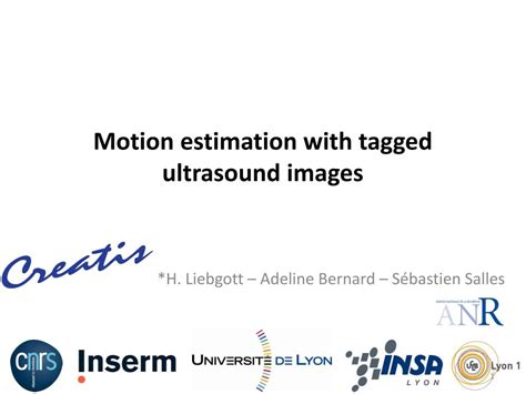 Ppt Motion Estimation With Tagged Ultrasound Images Powerpoint