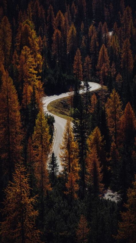 Road Aerial Shot Turns Autumn Trees Forest 720x1280 Wallpaper