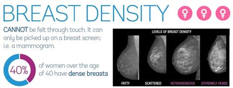 Cienciasmedicasnews Measuring Breast Density