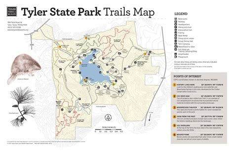 Tyler State Park Trails Map The Portal To Texas History
