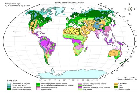 Dünya Dilsiz Haritası Ve Kıtaları WRHS
