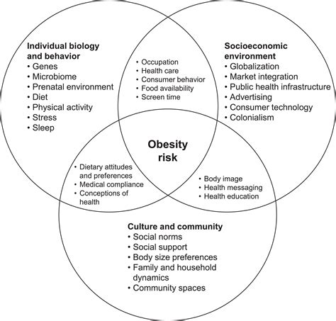 Identifying Actionable Lifestyle Risk Factors For Obesity Research And