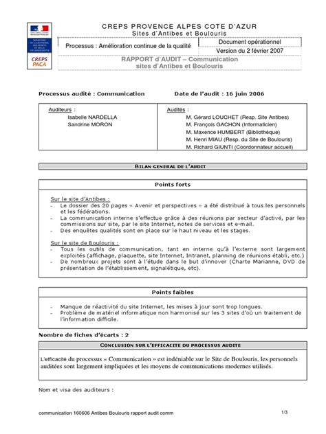 Exemple Rapport d'Audit | Audit | Informatique