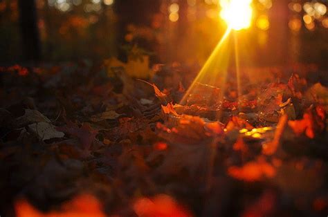 Autumn Colors On Tumblr