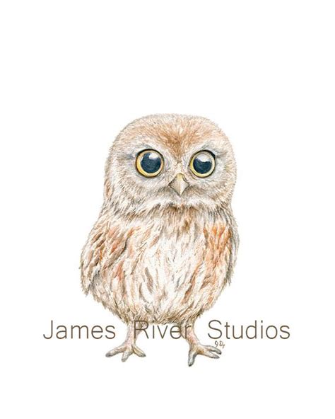 Owl Art Owl Painting Owl Print Baby Owl Watercolor Baby Bird