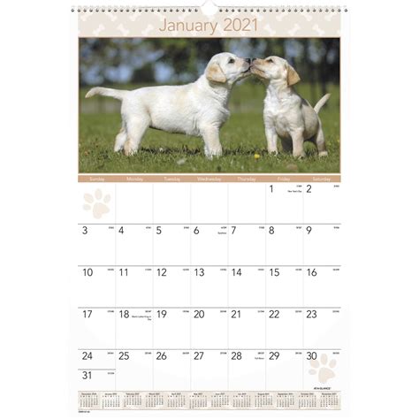 At A Glance Dmw16728 At A Glance Large Puppies Monthly Wall Calendar