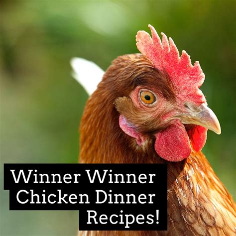 Winner Winner Chicken Dinner Recipes Winner Winner Chicken Dinner Chicken Dinner Recipes