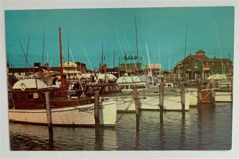 Ca 1954 Nj Postcard Cape May Schellengers Landing Vintage Fishing