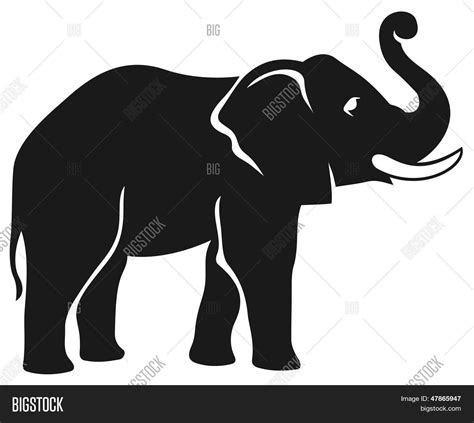 Elephant Vector And Photo Bigstock