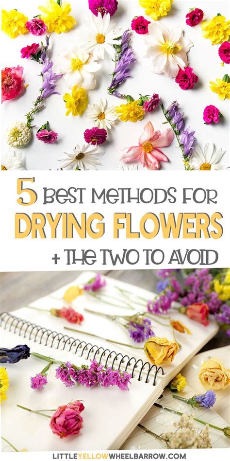 When it comes to picking your flowers, no matter whether you are drying them or pressing them, it is best to pick them on a dry day. How to Dry Flowers - We Tested 5 Different Methods to Find ...