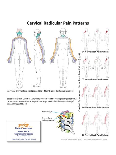Cervical Radicular Pain Patterns 030612 Pdf