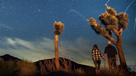 Best Time To Visit Joshua Tree For Stargazing Earth Base