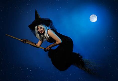 Witches Broom Stock Photos Pictures And Royalty Free Images Istock