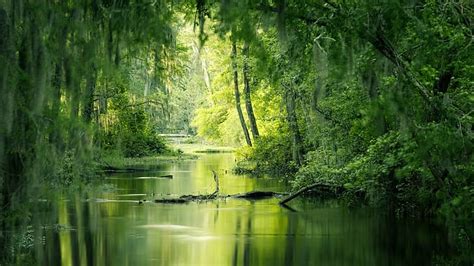 1360x768px Free Download Hd Wallpaper Nature Trees River Water