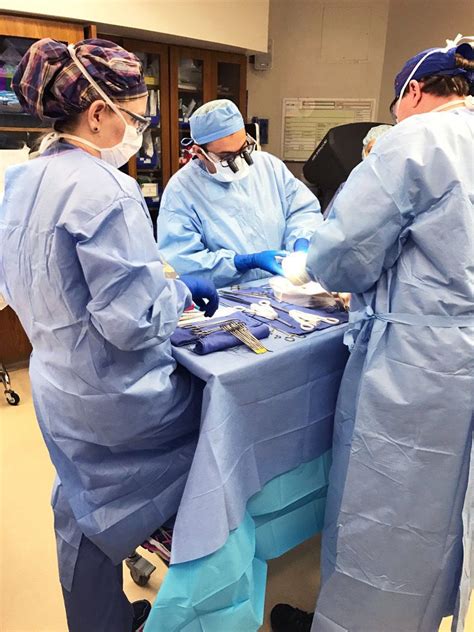 Six myths and facts about kidney transplantation. Robotic kidney transplant: Hospital uses new technology ...