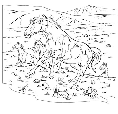 Kleurplaat van een paard met haar veulen. Kleurplaat Paarden Met Veulen / Kleurplaten En Zo Kleurplaten Van Paarden