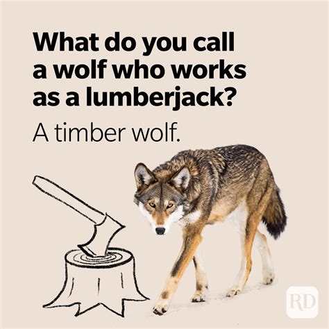 25 Wolf Puns That Are Howlingly Funny Readers Digest