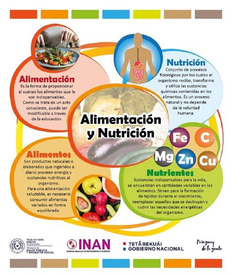 Nutrición Y Salud Nutrición Salud Y Bienestar